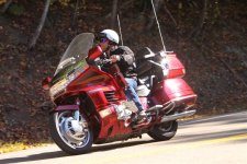 img_7923 (Large).jpg