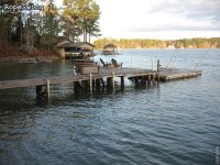 RopeSwing 3.jpg