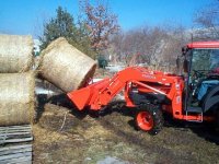 247309-Bale Goo.jpg