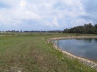 1-76343-LandBackToFront.jpg