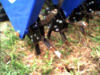 5-197386-tines.jpg