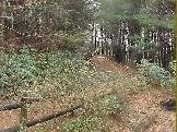 337397-cabin7.jpg