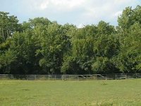 296512-Image004b.jpg