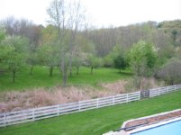 35-145837-orchard1.jpg