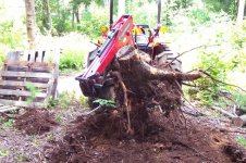 297240-stump2.jpg