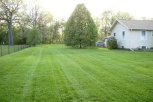 5389d1021083728-pt425-lawn-job-pics-19-146946-after.jpg