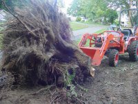 560037-TractorStump3.jpg
