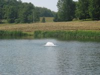 297715-aerator close.JPG