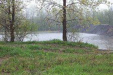 33-147650-by2.jpg