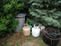 6-199553-evergreenjunks.JPG