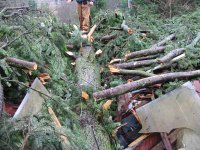 Storm Damage Photos 017.jpg