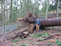 Storm Damage Photos 030.jpg