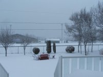 DSCF5207.jpg