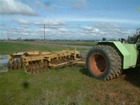 Steiger Super Wildcat-1.JPG