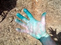 Roundup 4-30-09 013.jpg