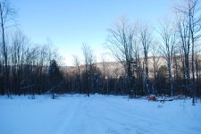 DSC_0040.jpg
