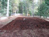 Garden1stPlow2.JPG