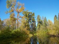 Fall Colors.jpg