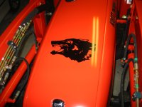 IMG_0951.JPG