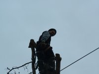 DSCF0042.JPG