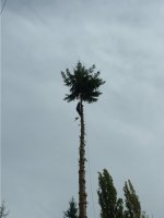 DSCF0076.jpg