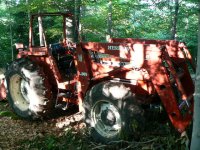 Firewood 2009 008.jpg