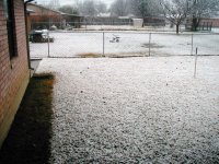End of Year '09 001.JPG