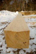 timber.jpg