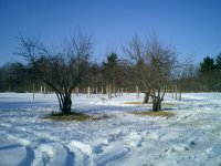 CIMG0050.JPG