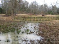 24 Dec 09 003 (Medium).jpg