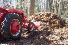 FallCleanup1.jpg