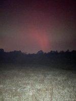 IMG_1462.jpeg