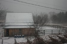 IMG_6245.JPG