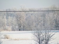 Snow Fun-4.jpg