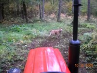 view from tractor seat.jpg