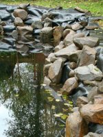 Rockwork.jpg