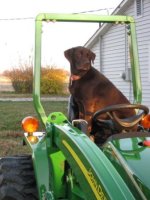 Dog on Deere 002a.jpg