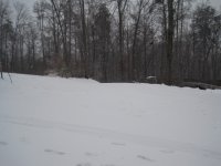 IMG_3102.JPG