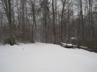 IMG_3103.JPG