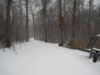 IMG_3104.JPG