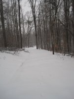 IMG_3105.JPG