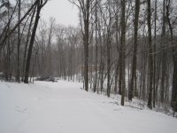 IMG_3107.JPG