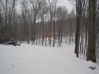IMG_3108.JPG