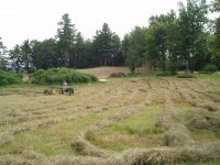 Haying 7-17-06 007.jpg