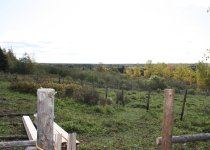 IMG_5229.JPG