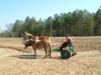 Plow Day 6.JPG