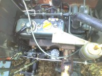 img005.jpg