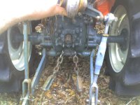 img011.jpg