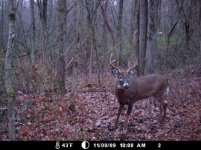 8pt2.jpg