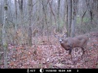 8pt.jpg